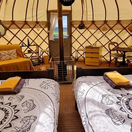 Bronfelen Yurt Hotel Cynghordy Exterior foto