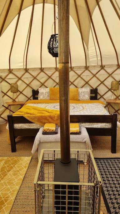 Bronfelen Yurt Hotel Cynghordy Exterior foto